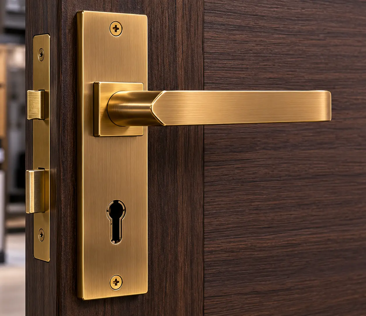 Door Handle